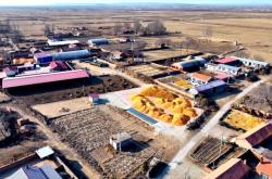 赤峰四道溝疫情防控電話號碼