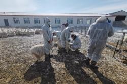 赤峰市勞動(dòng)保障局電話號(hào)碼