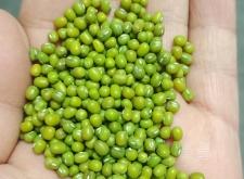 赤峰綠豆產(chǎn)業(yè)園電話號碼查詢