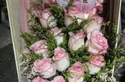 赤峰御瀾庭花藝館電話號碼