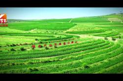 赤峰市紅山區(qū)開鎖電話號碼