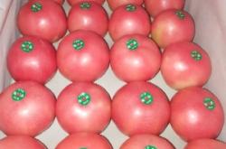 赤峰寧城縣農(nóng)機(jī)廠電話號(hào)碼