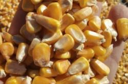 赤峰阿旗二手魚(yú)缸電話號(hào)碼