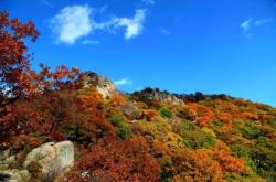 喀喇沁旗砬子溝景點