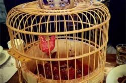 赤峰銷售遮陽網的電話號碼是多少