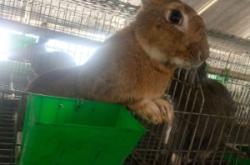 赤峰市愛(ài)居兔門(mén)店電話號(hào)碼