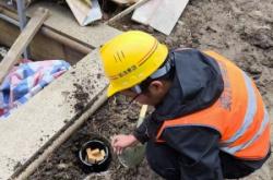 赤峰市滅白蟻電話號碼查詢