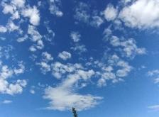 赤峰愛(ài)悅藍(lán)天元寶店電話號(hào)碼