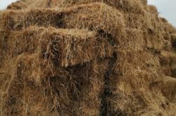 赤峰出售小麥秸稈電話號碼是多少