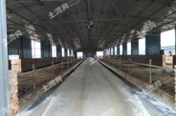 赤峰畜牧局賣牛奶電話地址查詢