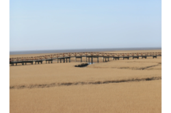 赤峰大海撈針電話號(hào)碼查詢