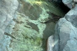 赤峰市爬蟲館電話地址號碼查詢