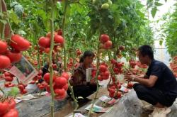 赤峰寧城招商局電話是多少號