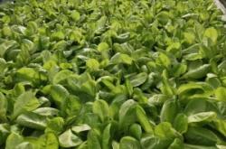 赤峰市農(nóng)博園的電話號碼