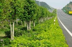 赤峰市赤朝高速綠化電話號碼