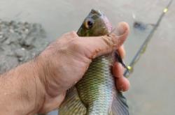 赤峰堡三橋釣魚(yú)地點(diǎn)電話號(hào)碼