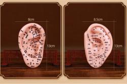 赤峰五門市針灸店電話號(hào)碼