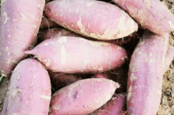 赤峰平莊味蕾蛋糕電話號碼查詢