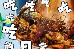 赤峰豬腳環(huán)批發(fā)電話多少號(hào)