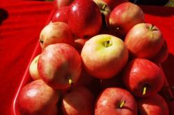 赤峰寧城餃子館電話號(hào)碼多少