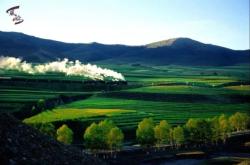 赤峰修高架路電話是多少號