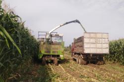 赤峰林西取暖電話號(hào)碼查詢是多少