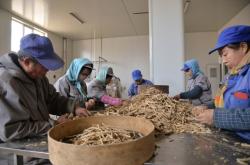 赤峰中藥材市場地址電話號碼