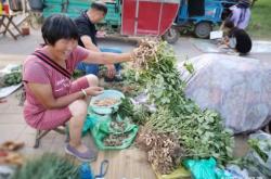 赤峰市菜農(nóng)買菜電話號(hào)碼查詢