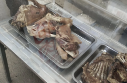 赤峰狗場(chǎng)聯(lián)系方式電話號(hào)碼