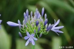 赤峰植物研究所電話多少號(hào)