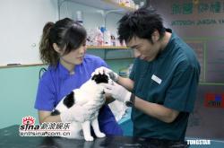 赤峰豬屠宰場聯(lián)系電話號碼