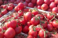 赤峰寧城中大型飯店電話號(hào)碼