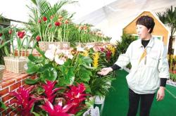 赤峰市鮮花加盟電話號碼查詢