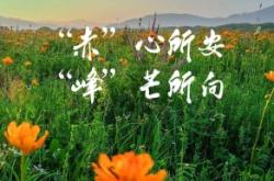 赤峰烏丹葉片廠家電話地址查詢