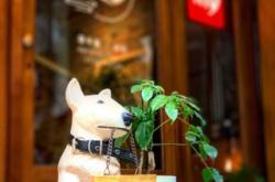 赤峰街文具店電話號碼查詢