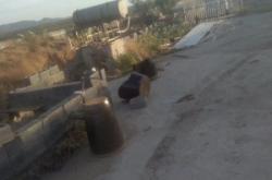 赤峰平莊荒廢廠房出租電話(huà)號(hào)碼