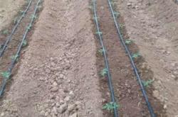 赤峰滴灌管廠家電話多少號(hào)