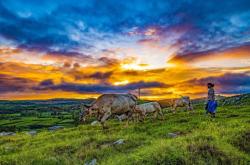 赤峰市東郊村村長電話號碼是多少