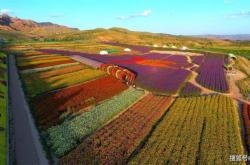 赤峰縣三眼井公社電話號碼