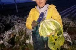 赤峰有收菜的老板嗎電話是多少