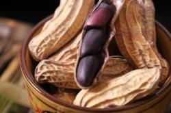 赤峰黑大蒜加工廠電話號碼