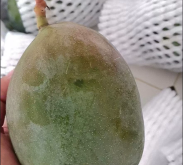 赤峰賣凱特芒果的電話號(hào)碼是多少