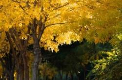 赤峰嘉合超市電話號(hào)碼多少