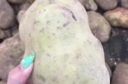 赤峰市土豆代購(gòu)店電話地址查詢