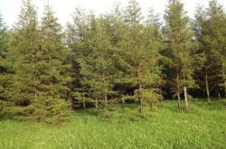 赤峰盛海足浴店電話號碼多少