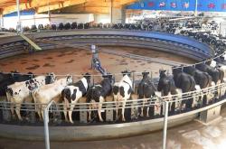 赤峰牧場(chǎng)售后服務(wù)電話號(hào)碼查詢(xún)