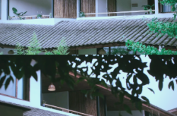 彭州赤峰鎮(zhèn)馬姐民宿電話號(hào)碼