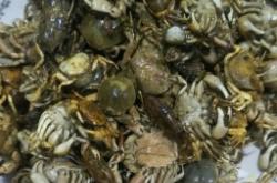 赤峰海邊趕海最新政策電話號碼