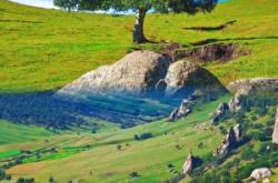 赤峰大鏟皮機(jī)廠電話地址查詢