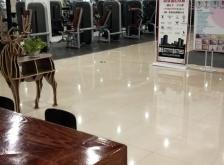 赤峰新健身房電話號碼多少